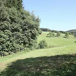 Charmantes In Skigebietsnaehe