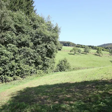 Charmantes In Skigebietsnaehe