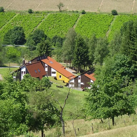 Charmantes In Skigebietsnaehe