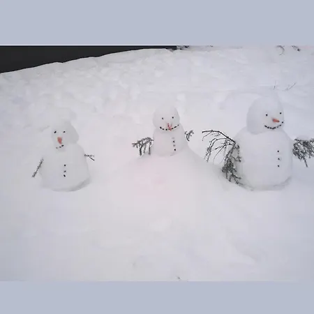 Nyaraló Charmantes In Skigebietsnaehe