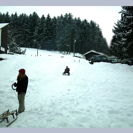 Charmantes In Skigebietsnaehe シュマレンベルク