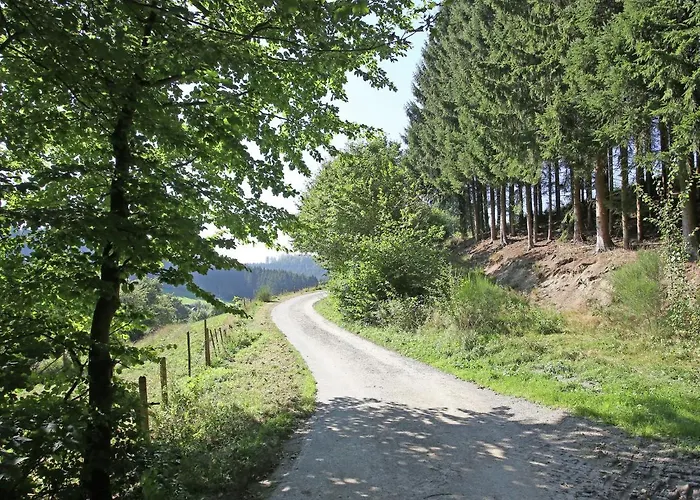 Feriehus Charmantes In Skigebietsnaehe Schmallenberg