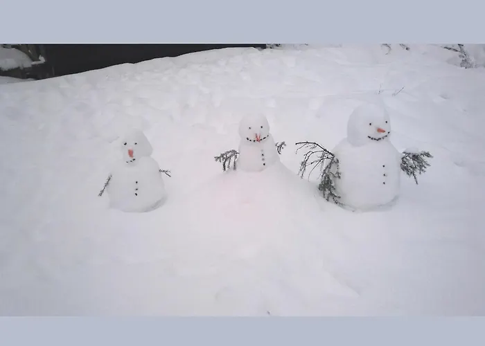 Hébergement de vacances Charmantes In Skigebietsnaehe